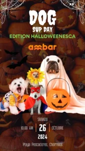 Hallowen con mascota